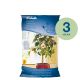 Weibulls Blomjord 8l 3-pack säckar