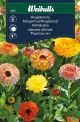 6065_Calendula_officinalis_web.jpg