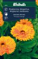 6079_ringblomma_princess_orange_framsida_web.jpg