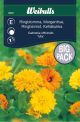 6097_ringblomma_mix_framsida_web.jpg