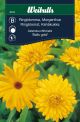 6104_Ringblomma_balls_gold_web.jpg