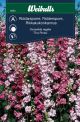 6334_riddarsporre_the_pinks_framsida_web.jpg