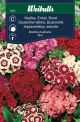 6355_nejlika_borst_mix_framsida_web.jpg