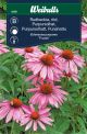 6399_rudbeckia_rod_framsida_web.jpg