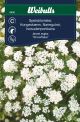 6450_spetsblomster_snowflake_framsida_web.jpg