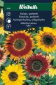 6480_solros_pollenfri_mix_web.jpg
