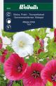 6847_malva_prakt_mix_framsida_web.jpg