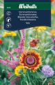 6919_sommarblommor_mix_framsida_web.jpg