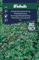 6955_grongodslins_mix_storpack_framsida_web.jpg