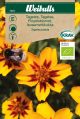7244_tagetes_web.jpg
