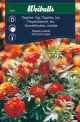 7327_tagetes_red_brocade_framsida_web.jpg