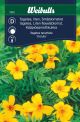 7351_tagetes_ursula_framsida_web.jpg