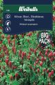 7381_klover_blodklover_storpack_framsida_web.jpg