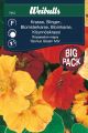 7412_krasse_slinger_glorius_gleam_mix_storpack.jpg