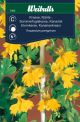7465_krasse_fjaril_framsida_web.jpg