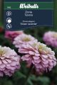 7502_zinnia.jpg