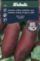 7868_r_dbeta_bigpack.jpg