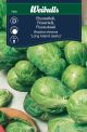 7930_Brassica_oleracea_web.jpg