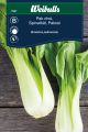 7967_Brassica_pekinensis_220217_framsida.jpg