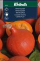 8076_Cucurbita_maxima_framsida_web.jpg