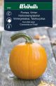 8090_Pumpa_vinter_halloween_web.jpg