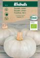 8112_squash_vinter_web.jpg