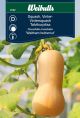 8122_squash_vinter_web.jpg