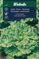 8281_sallat_plock_australische_gele_framsida_web.jpg