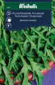 8377_rucola_sandsenap_vild_maskrosbladig_framsida_web.jpg