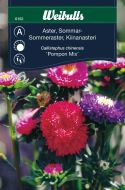 6152_Sommaraster_pompon_mix_web.jpg