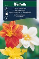 6319_dahlia_sommar_early_bird_framsida_web.jpg