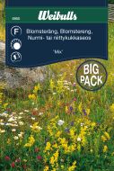 6950_blomstera_ng_mix.jpg