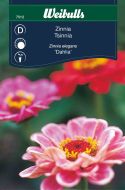 7512_zinnia_dahlia_web.jpg