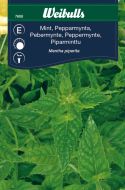 7608_mint_pepparmint_framsida_web.jpg