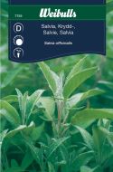 7759_kryddsalvia_framsida_web.jpg