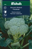 7928_Broccoli.jpg