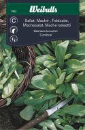 Weibulls Sallat, mâche- 'Verte de Cambrai'