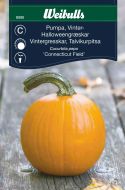 8090_Pumpa_vinter_halloween_web.jpg