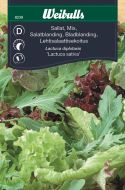Weibulls Sallat mix 'Baby Leaf'