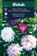 6123_Sommaraster_dv_rgdrottning_web.jpg