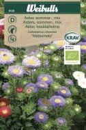 6128_aster_sommar_lq.jpg
