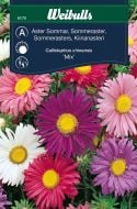 6170_aster_sommar_mix_framsida_web.jpg