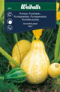 6301_pumpa_prydnads_mix_framsida_web.jpg