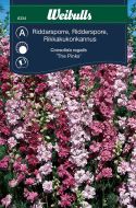 6334_riddarsporre_the_pinks_framsida_web.jpg