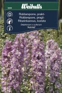 6345_riddarsporre_prakt_lq.jpg