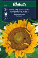 6471_solros_sunspot_framsida_web.jpg