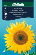 6490_Solros_uniflorus_web.jpg
