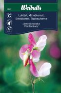 6601_luktart_painted_lady_framsida_web.jpg