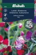6620_lukta_rt_mix_framsida_web.jpg