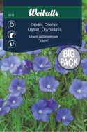 6751_oljelin_iduna_framsida_web.jpg